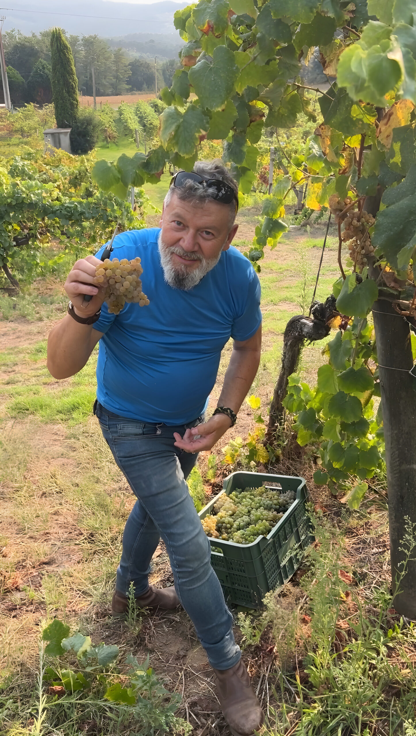 Eladio Piñeiro