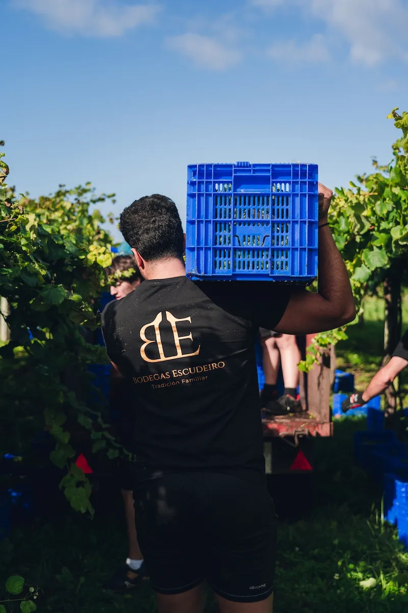 Bodegas Escudeiro